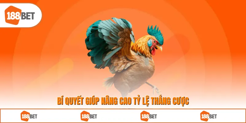 Bí quyết giúp nâng cao tỷ lệ thắng cược