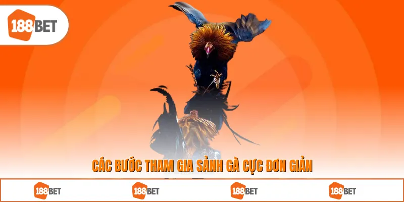 Các bước tham gia sảnh gà cực đơn giản