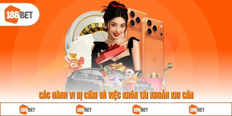 Các hành vi bị cấm và việc khóa tài khoản khi cần