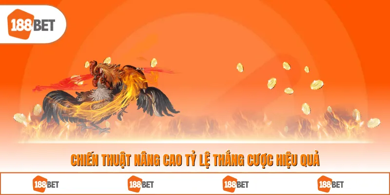 Chiến thuật nâng cao tỷ lệ thắng cược hiệu quả