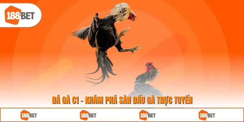 Đá Gà C1 - Khám Phá Sàn Đấu Gà Trực Tuyến Hấp Dẫn