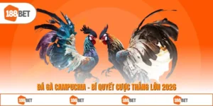 Đá Gà Campuchia - Bí Quyết Cược Thắng Lớn 2026