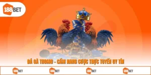 Đá Gà Thomo - Cẩm Nang Cược Trực Tuyến Uy Tín