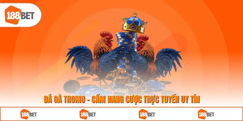 Đá Gà Thomo - Cẩm Nang Cược Trực Tuyến Uy Tín