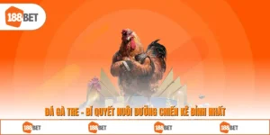 Đá Gà Tre - Bí Quyết Nuôi Dưỡng Chiến Kê Đỉnh Nhất