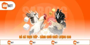 Đá Gà Trực Tiếp - Sảnh Chơi Chất Lượng Cao