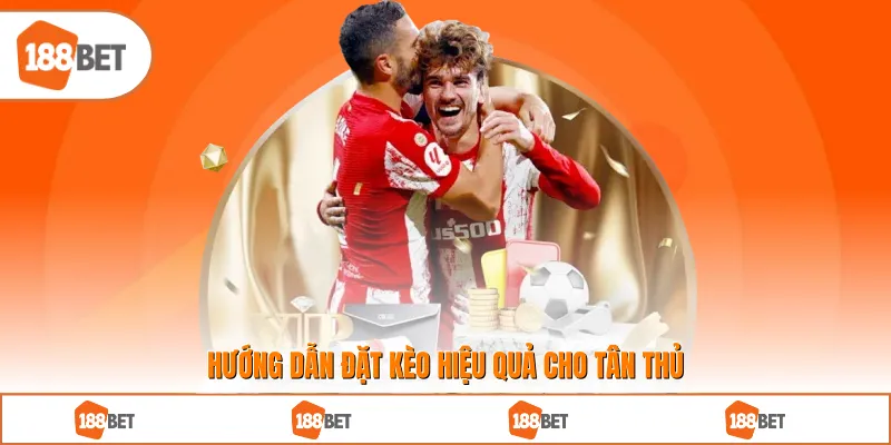 Hướng dẫn đặt kèo hiệu quả cho tân thủ