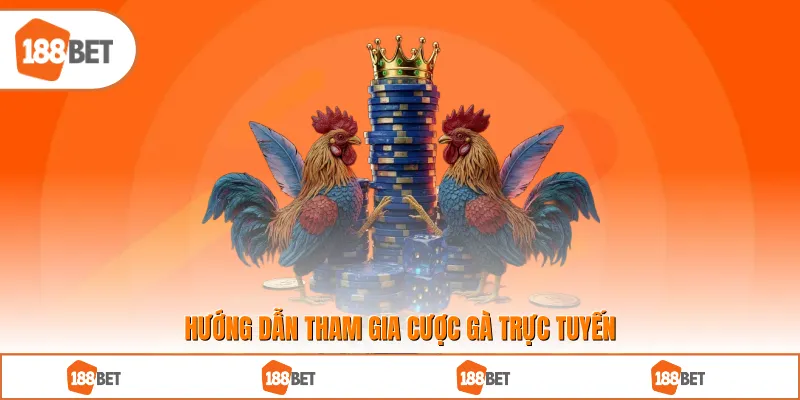 Hướng dẫn tham gia cược gà trực tuyến