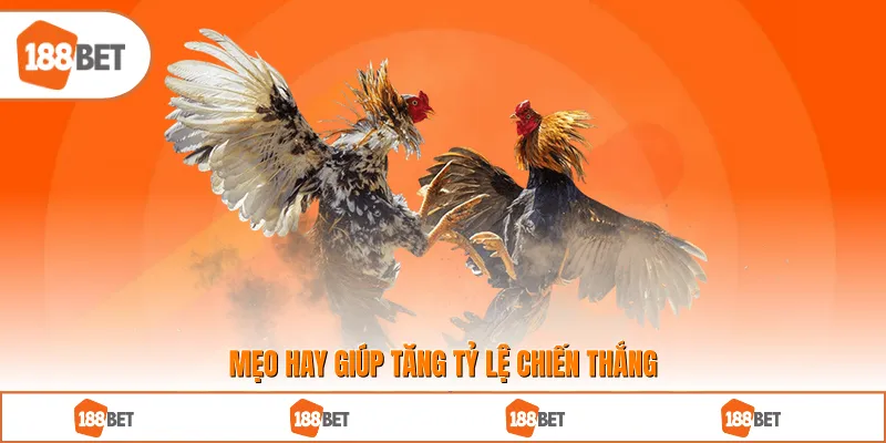 Mẹo hay giúp tăng tỷ lệ chiến thắng