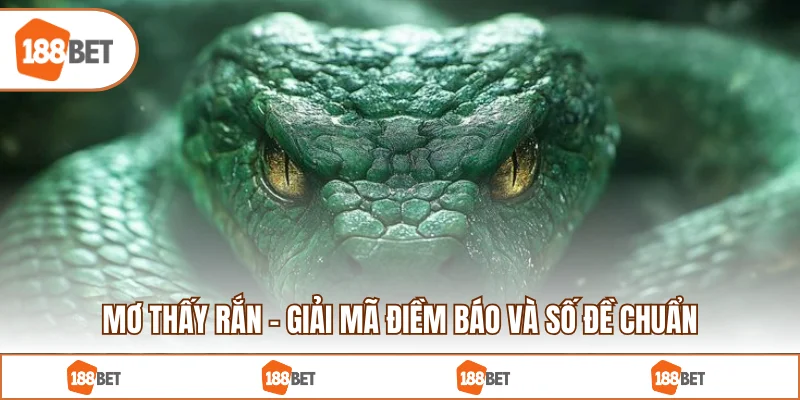 Mơ Thấy Rắn - Giải Mã Điềm Báo Và Số Đề Chuẩn