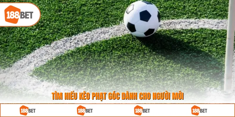 Tìm hiểu kèo phạt góc dành cho người mới