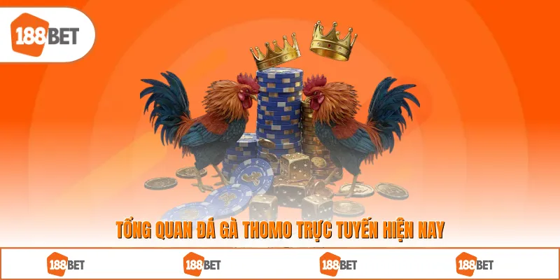 Tổng quan đá gà Thomo trực tuyến hiện nay