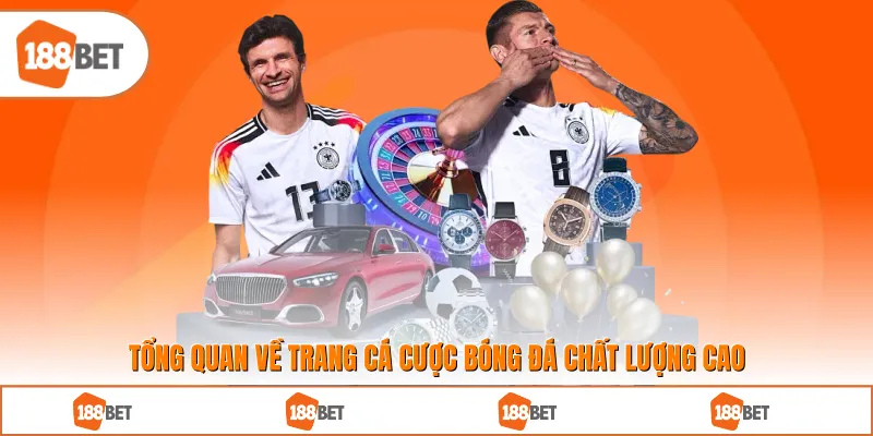 Tổng quan về trang cá cược bóng đá chất lượng cao