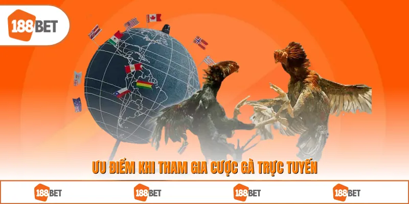 Ưu điểm khi tham gia cược gà trực tuyến