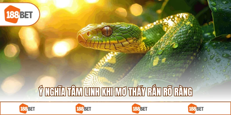 Ý nghĩa tâm linh khi mơ thấy rắn rõ ràng